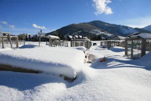 Cold frame winter gardening