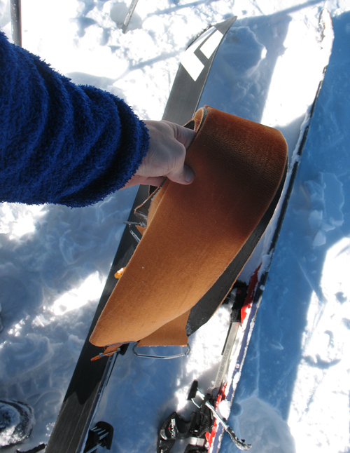 Backcountry skiing basics