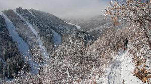 November photo gallery