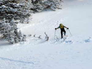 Backcountry skiing kick turn