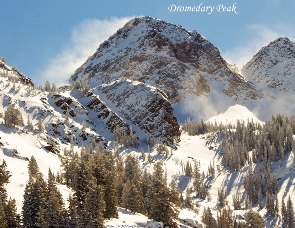 Dromedary Peak Broads Fork Utah
