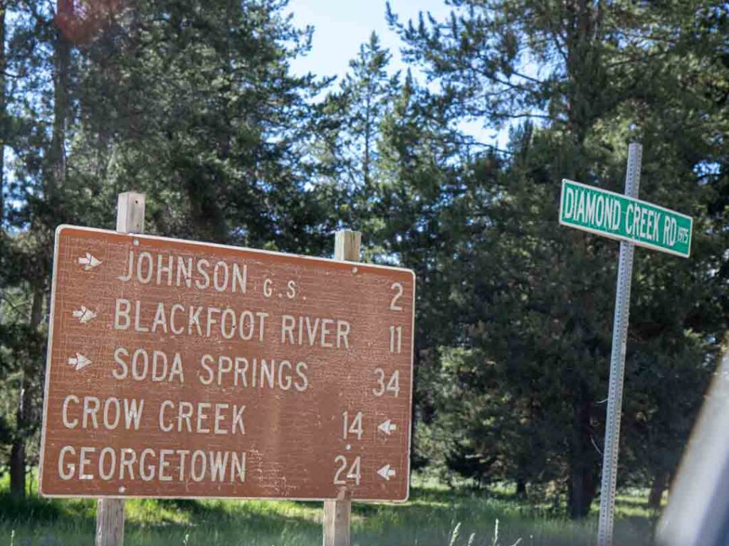 Road-Sign-South-of-Diamond-Creek-(web)