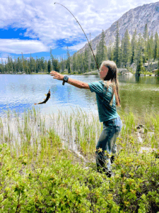 Here fishy fishy (web)